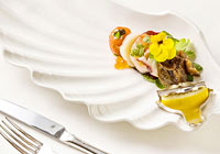 ѧ��רҵ��Ӯ��ɫ����