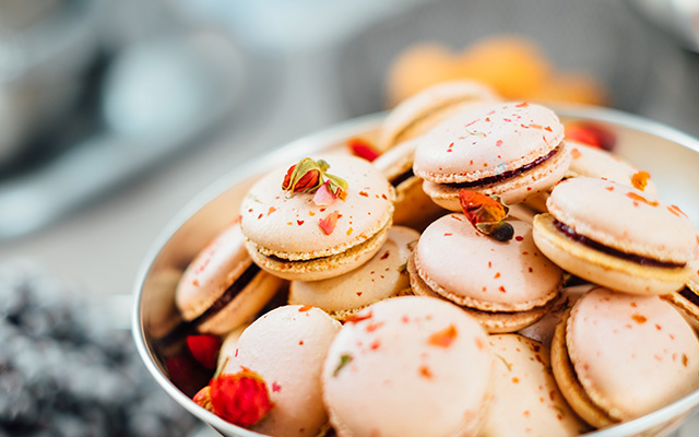 ��������רҵ