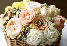 ����ר�ް�