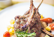 ����ר��